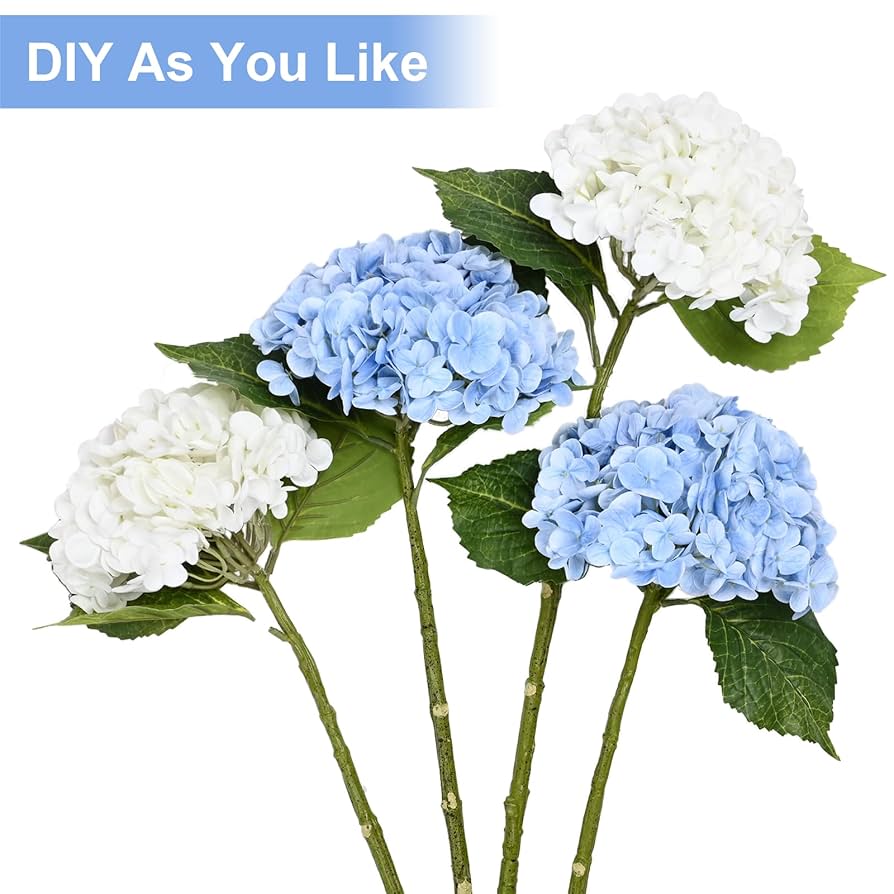 Hydrangea4936　0705 Hydrangea Macrophylla Nikko Blue Big Leaf Hydrangea | SiteOne US